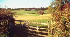English Countryside
