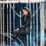 1. Alicia Keys at the 02 Arena