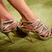 105. Celebrity shoes
