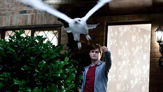 Harry Potter Fans Can ACTUALLY Go Inside The Dursley�s