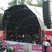 89. Club Classics Ipswich 