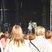 129. Peter Andre @ Racecourse