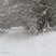 71. Winter Wonderland