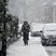 35. Winter Wonderland