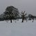 23. Overstone golf course. Kenny Nelson 
