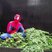 56. Spideyman Hits The West Country 35