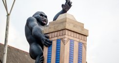 GoGo Gorillas Launch Event Norwich King Kong