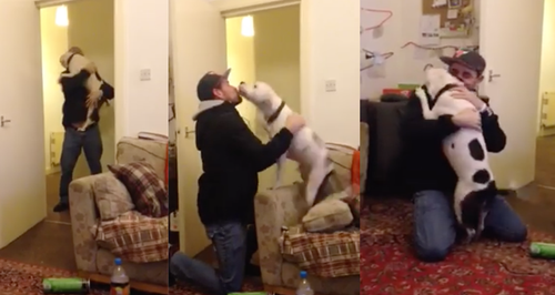 dog excited reunited with owner