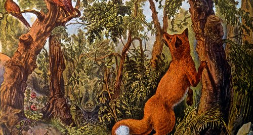 Fox optical illusion